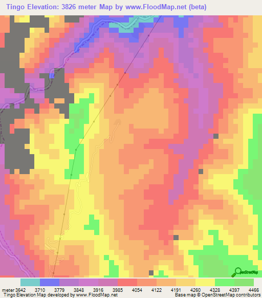 Tingo,Peru Elevation Map