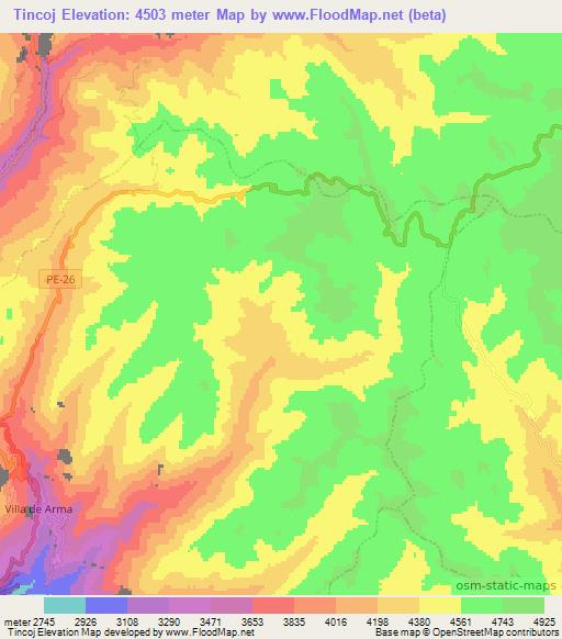 Tincoj,Peru Elevation Map