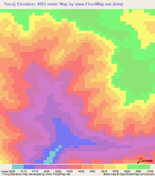 Tincoj,Peru Elevation Map