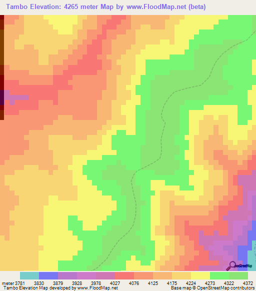 Tambo,Peru Elevation Map