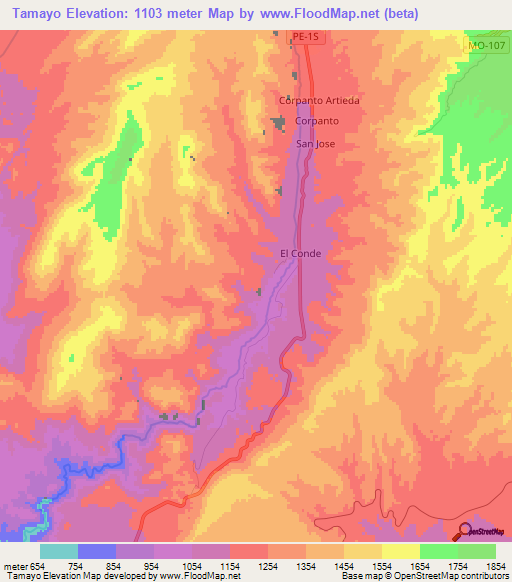 Tamayo,Peru Elevation Map