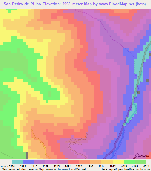 San Pedro de Pillao,Peru Elevation Map