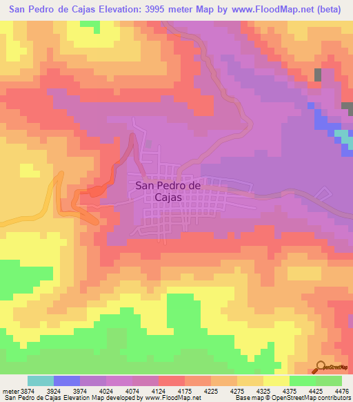 San Pedro de Cajas,Peru Elevation Map