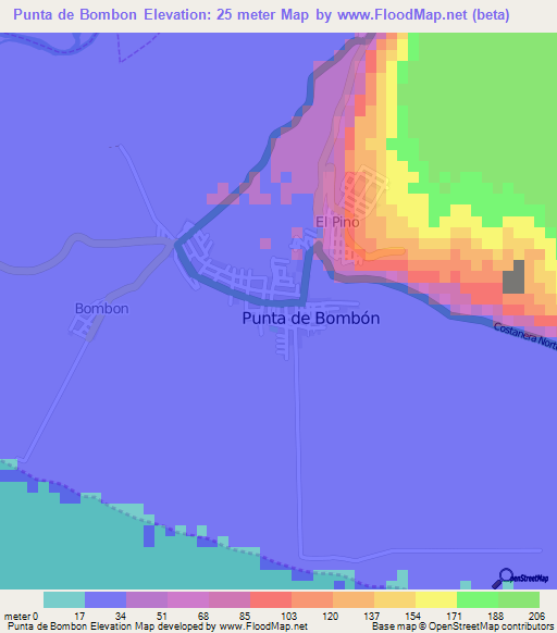 Punta de Bombon,Peru Elevation Map