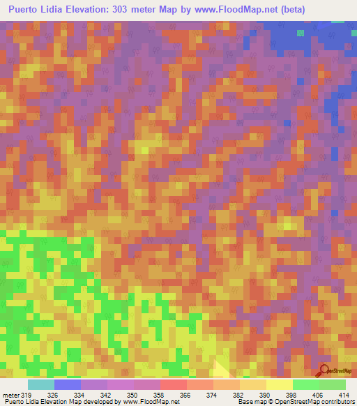 Puerto Lidia,Peru Elevation Map