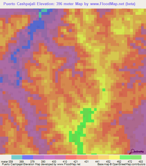 Puerto Cashpajali,Peru Elevation Map