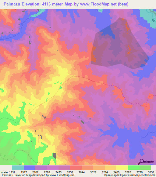 Palmazu,Peru Elevation Map