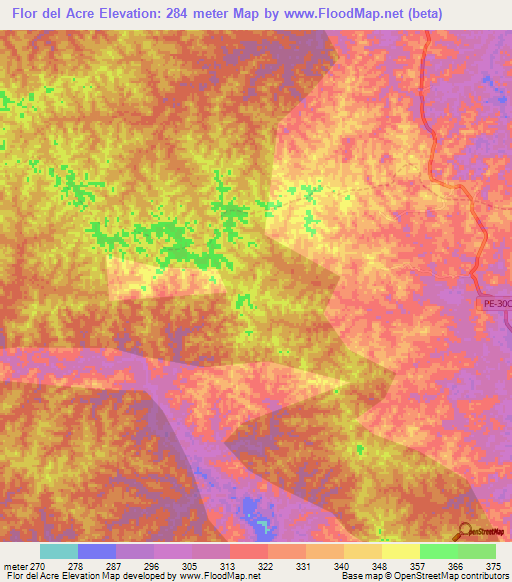 Flor del Acre,Peru Elevation Map