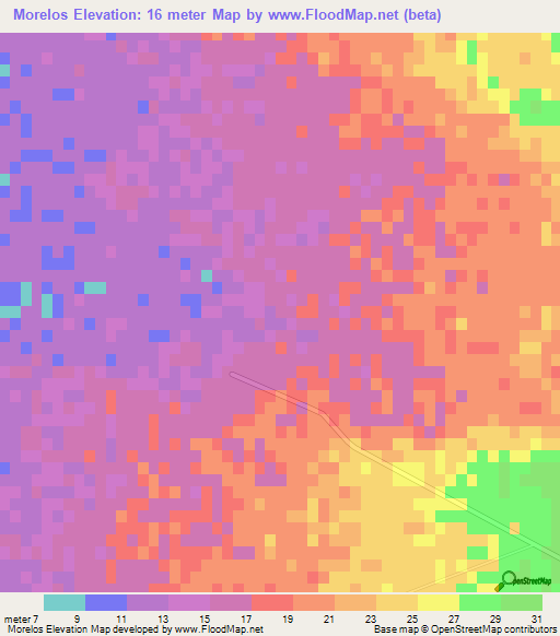 Morelos,Mexico Elevation Map