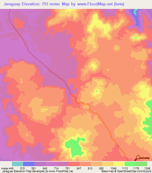 Jaraguay,Mexico Elevation Map