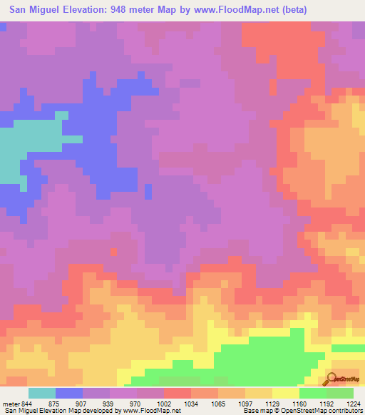 San Miguel,Mexico Elevation Map