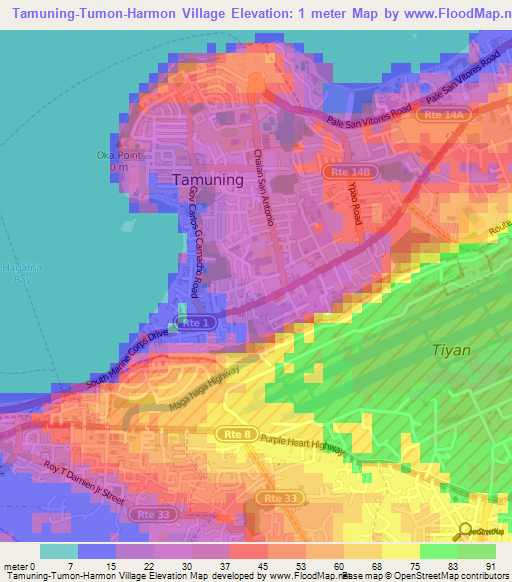 Tamuning-Tumon-Harmon Village,Guam Elevation Map