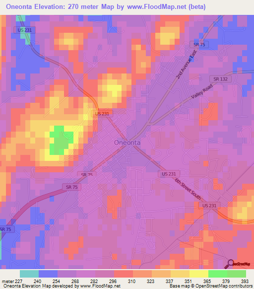 Oneonta,US Elevation Map