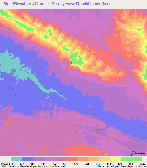 Bidu,Iran Elevation Map