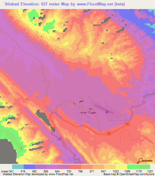 `Aliabad,Iran Elevation Map