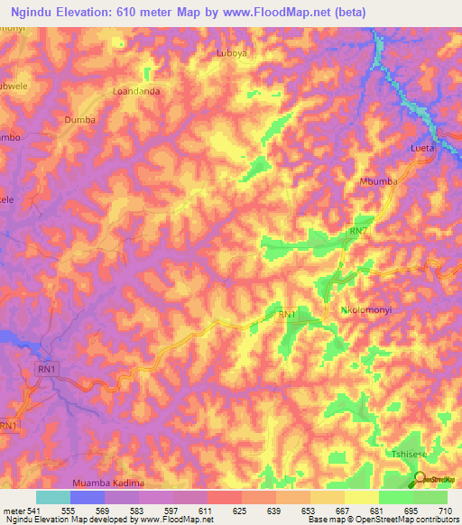 Ngindu,Congo (Kinshasa) Elevation Map