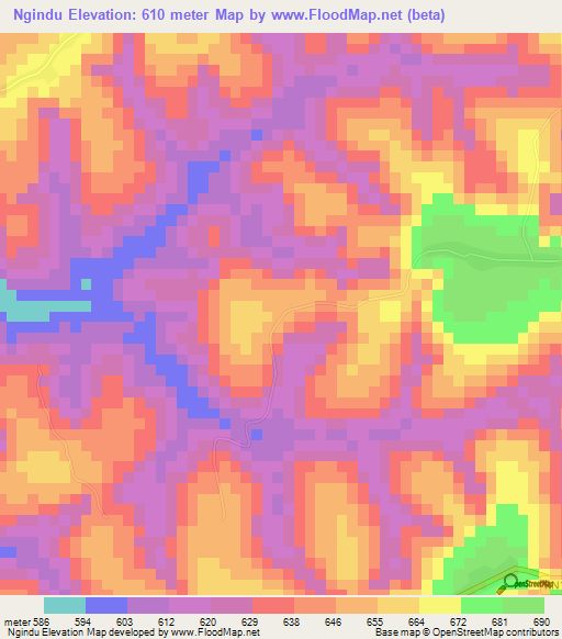 Ngindu,Congo (Kinshasa) Elevation Map