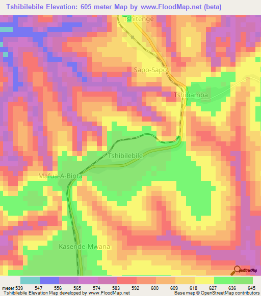 Tshibilebile,Congo (Kinshasa) Elevation Map