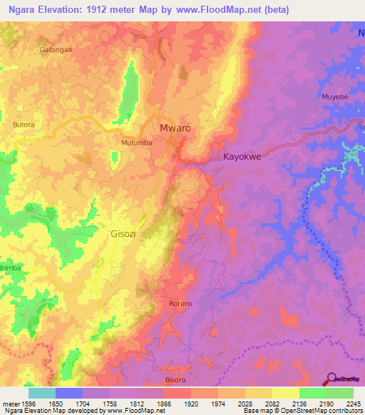 Ngara,Burundi Elevation Map