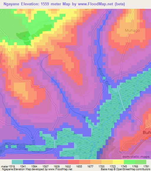 Ngayane,Burundi Elevation Map