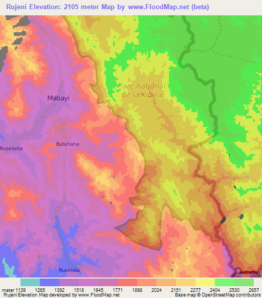 Rujeni,Burundi Elevation Map