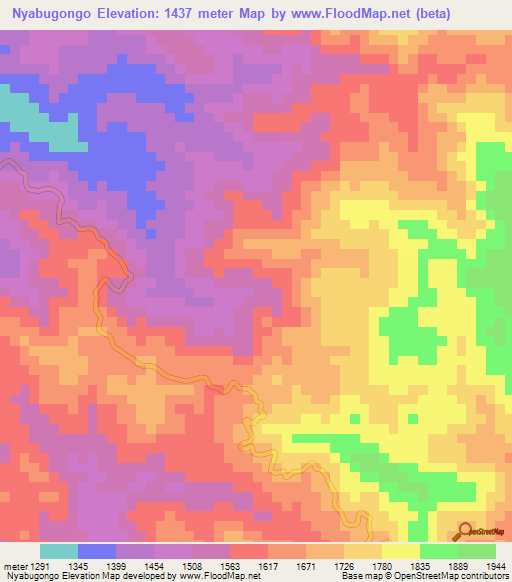 Nyabugongo,Burundi Elevation Map