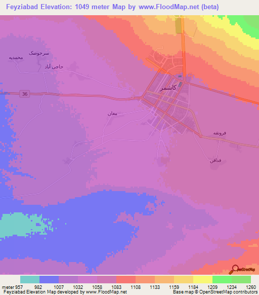 Feyziabad,Iran Elevation Map