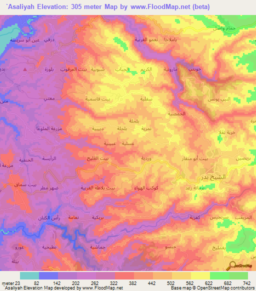 `Asaliyah,Syria Elevation Map