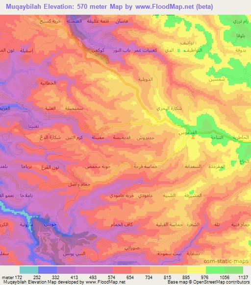 Muqaybilah,Syria Elevation Map