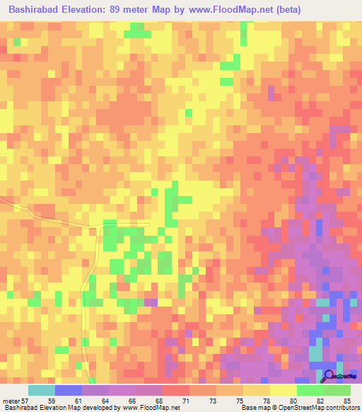Bashirabad,Iran Elevation Map