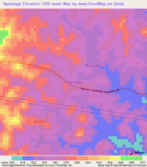 Nyamiaga,Uganda Elevation Map