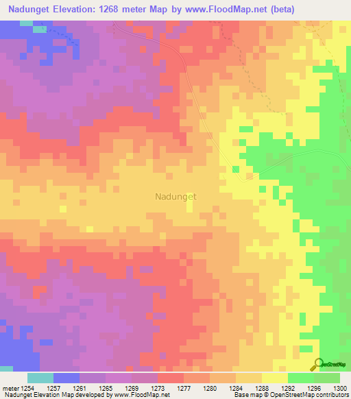 Nadunget,Uganda Elevation Map
