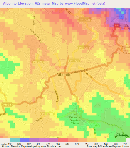 Aibonito,Puerto Rico Elevation Map