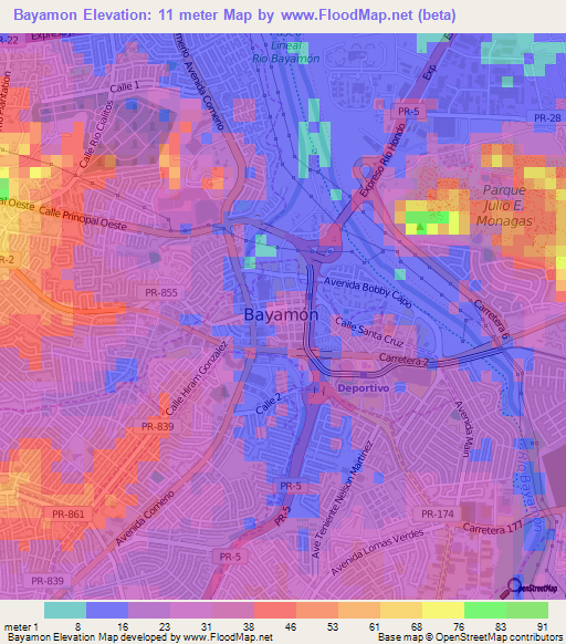 Bayamon,Puerto Rico Elevation Map