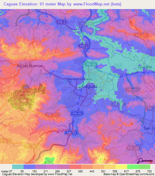 Caguas,Puerto Rico Elevation Map