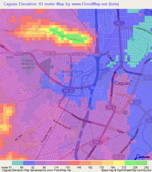 Caguas,Puerto Rico Elevation Map