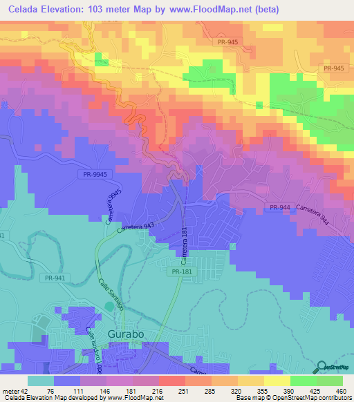 Celada,Puerto Rico Elevation Map