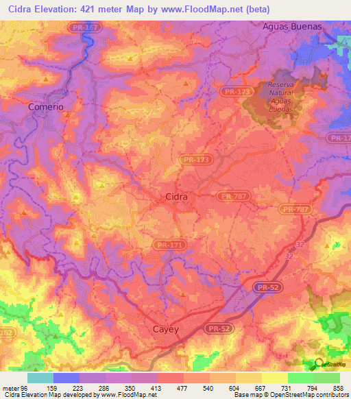 Cidra,Puerto Rico Elevation Map