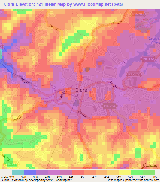 Cidra,Puerto Rico Elevation Map