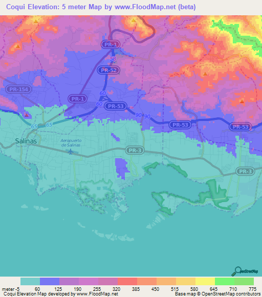 Coqui,Puerto Rico Elevation Map