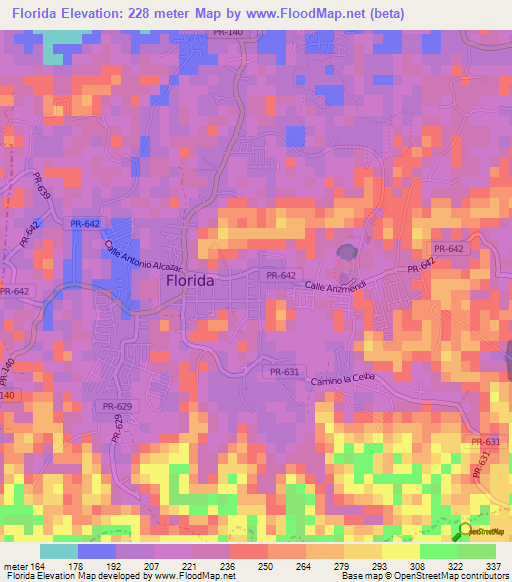Florida,Puerto Rico Elevation Map
