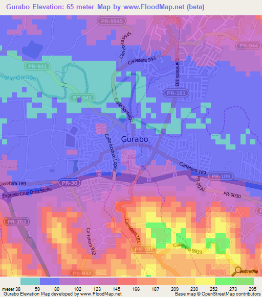 Gurabo,Puerto Rico Elevation Map