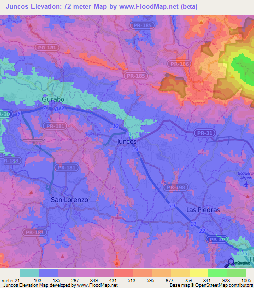 Juncos,Puerto Rico Elevation Map