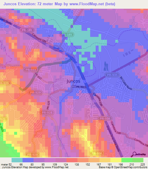 Juncos,Puerto Rico Elevation Map