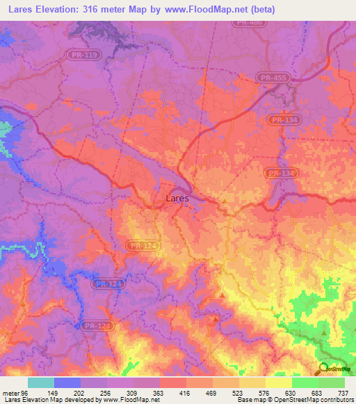 Lares,Puerto Rico Elevation Map