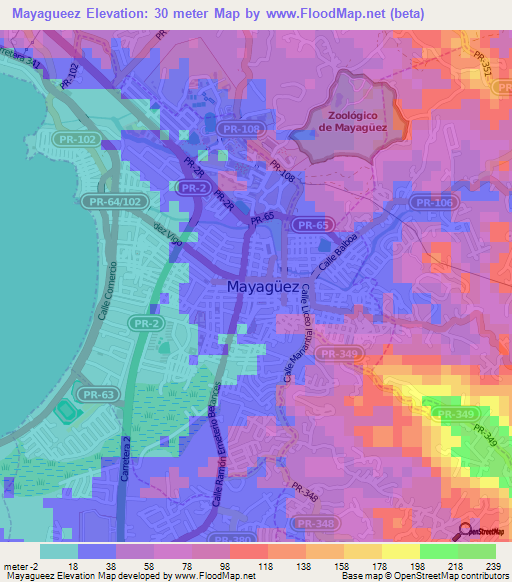 Mayagueez,Puerto Rico Elevation Map