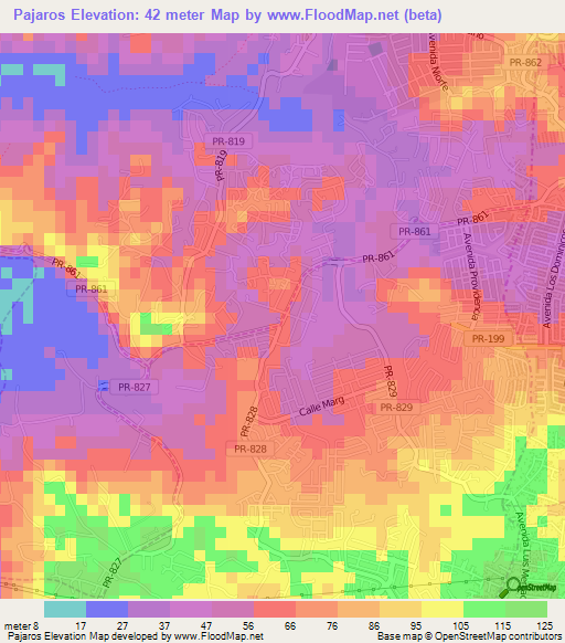 Pajaros,Puerto Rico Elevation Map