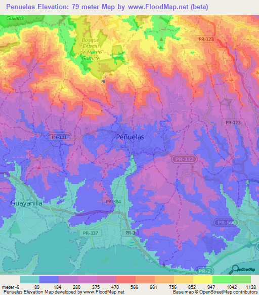 Penuelas,Puerto Rico Elevation Map