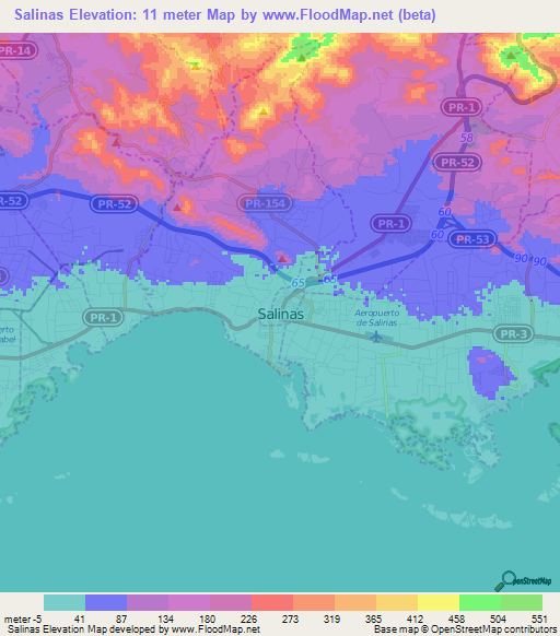 Salinas,Puerto Rico Elevation Map