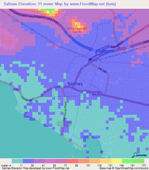 Salinas,Puerto Rico Elevation Map